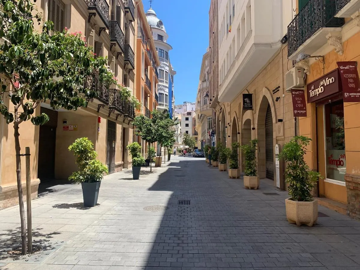 Homely Malaga Luxury Atarazanas 0*,  Spain